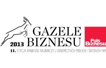Gazele biznesu 2013